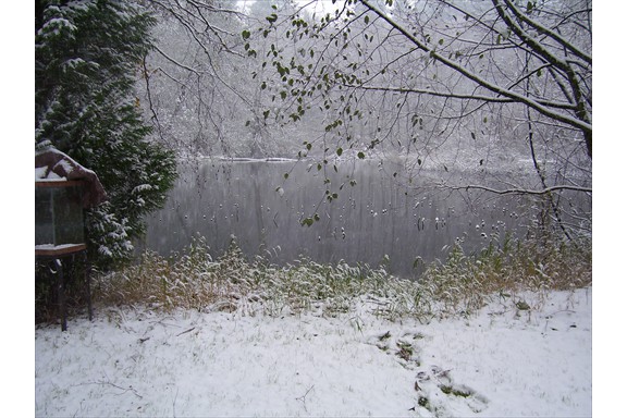Snow - our pond!