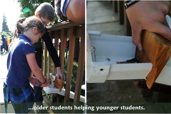 Hylebos Creek: older students help younger students release a salmon
